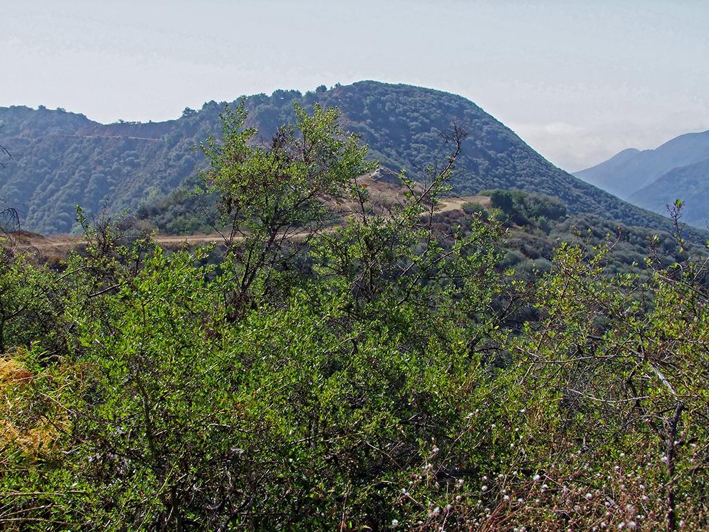 Aussicht auf den Wanderweg, Topanga SP