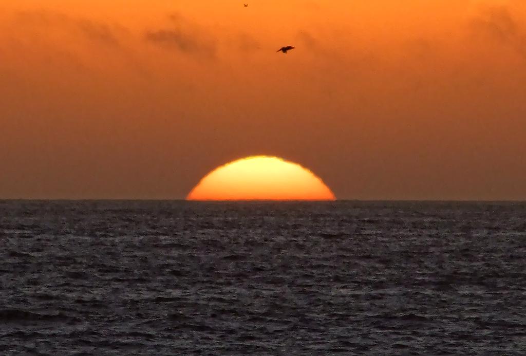 Die Sonne versinkt im Meer, Pismo State Beach