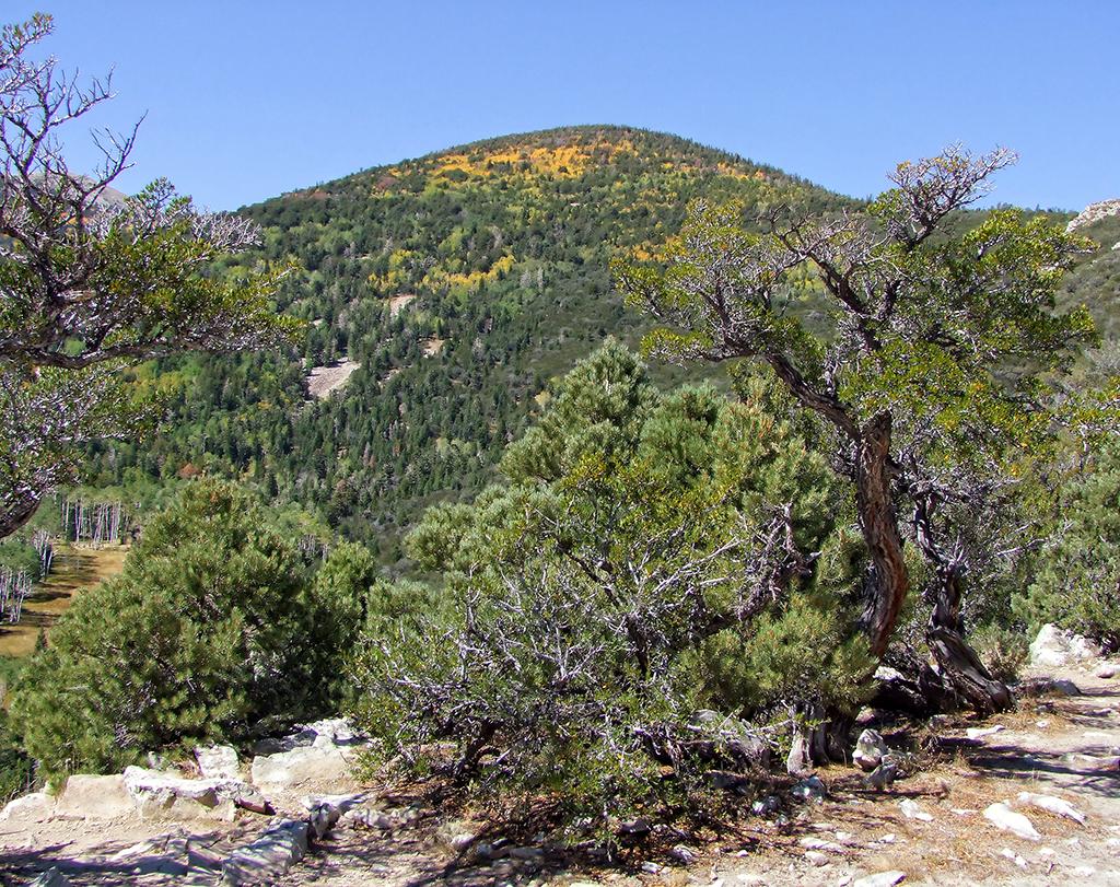 Aussicht über den Great Basin NP, NV