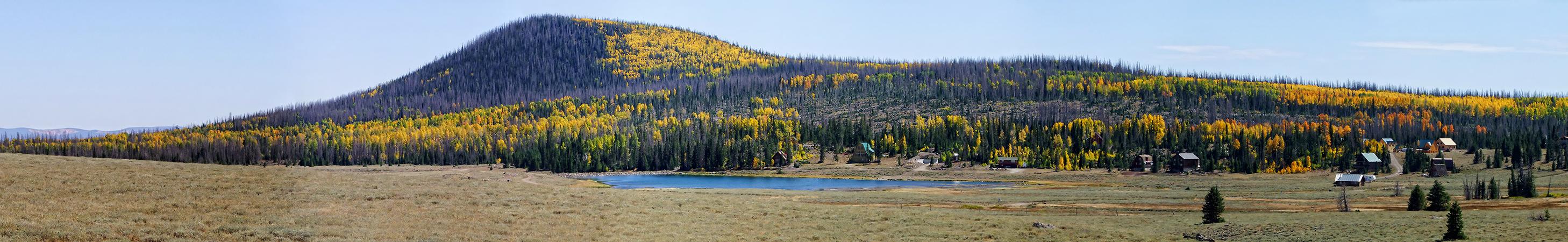 gelber Wald mit See, UT