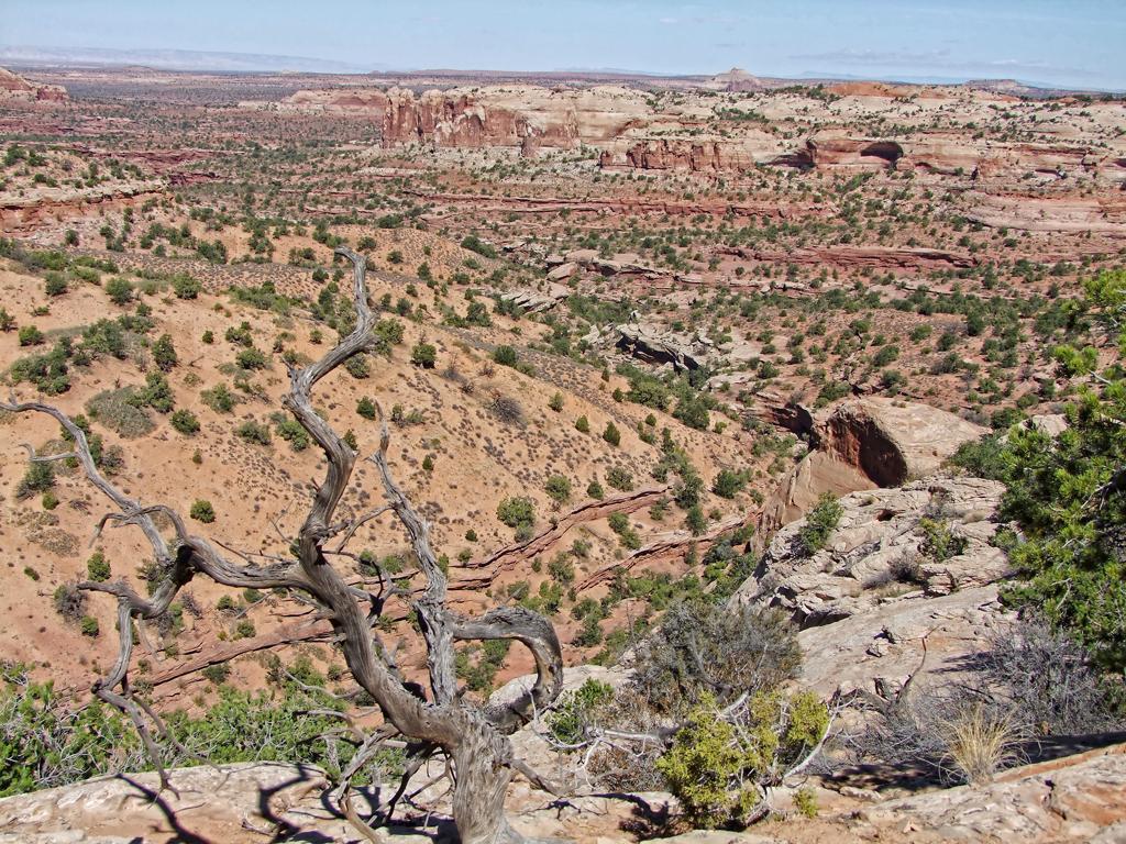 Canyonlands NP, UT