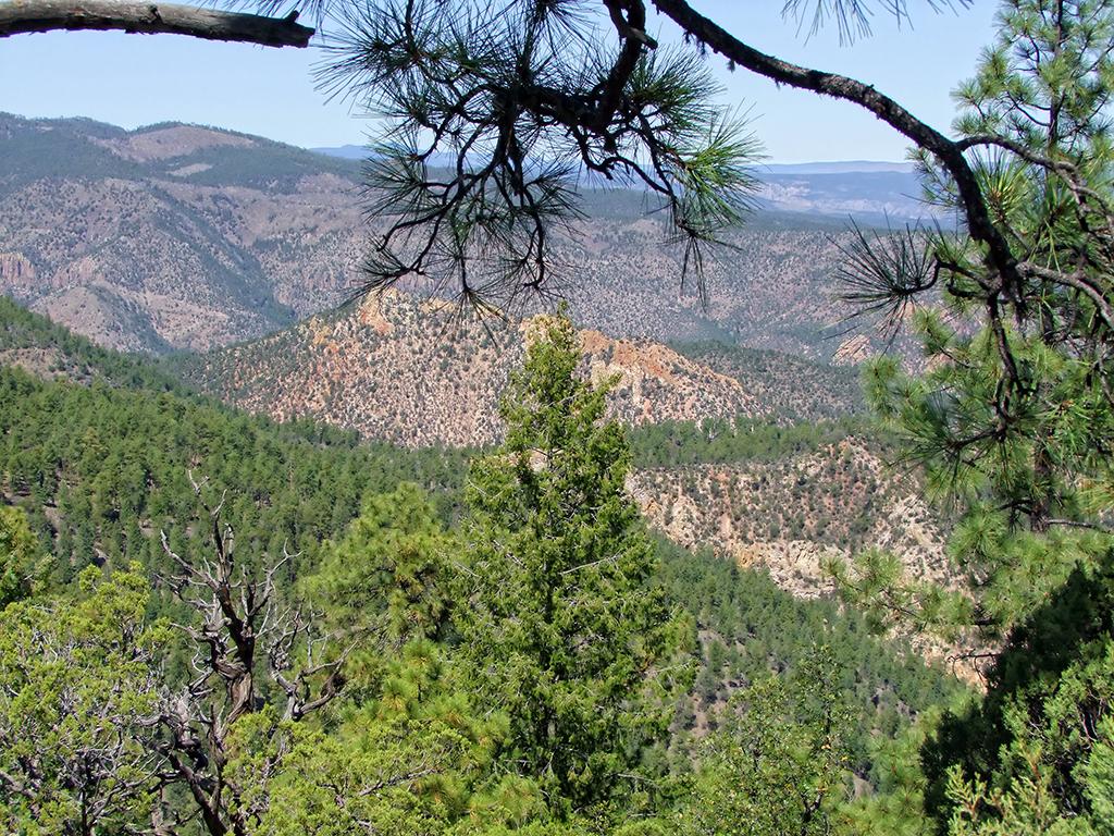 auf dem Weg zum Gila Cliff Dwellings NM, NM