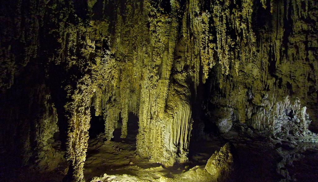 Carlsbad Caverns NP, NM