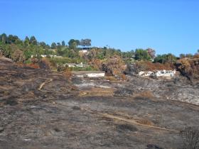 alles verbrannt in Palos Verdes
