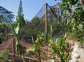 riesiges Freigehege, LA Zoo
