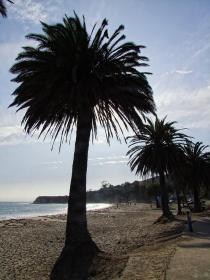 Refugio State Beach