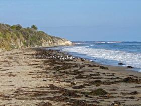 Refugio State Beach