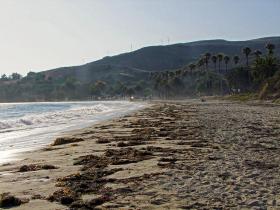 Refugio State Beach