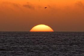 Die Sonne versinkt im Meer, Pismo State Beach