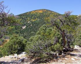 Aussicht über den Great Basin NP, NV