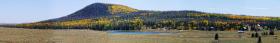 gelber Wald mit See, UT