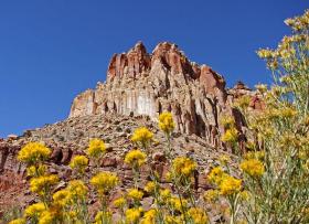 Capitol Reef NP, UT