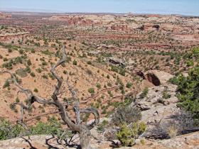 Canyonlands NP, UT