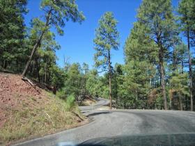 auf dem Weg zum Gila Cliff Dwellings NM, NM