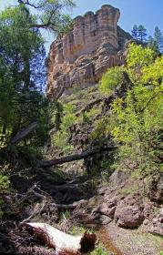 Wohnfelsen, Gila Cliff Dwellings NM, NM