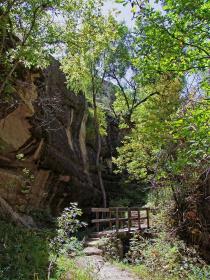 AUfstieg zum Gila Cliff Dwellings NM, NM