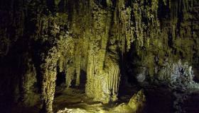 Carlsbad Caverns NP, NM