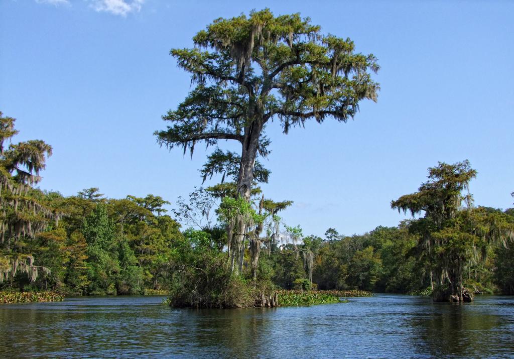 Wakulla Springs SP, FL