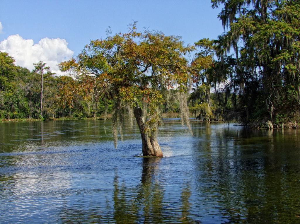 Wakulla Springs SP, FL