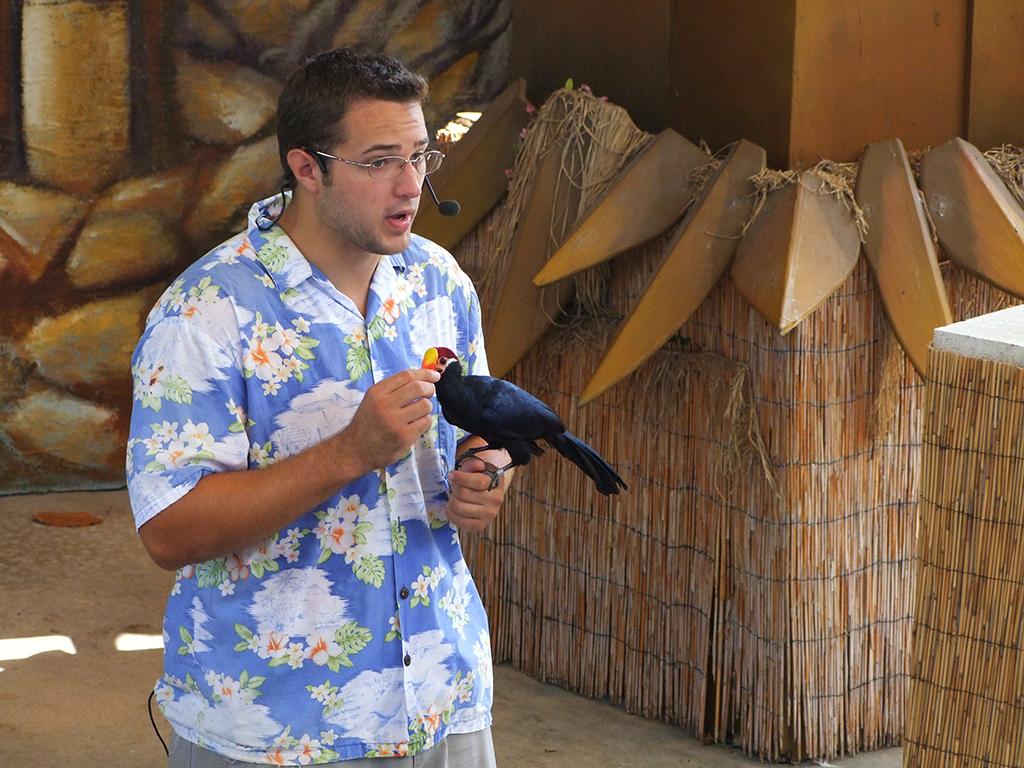 Show im Jungle Island
