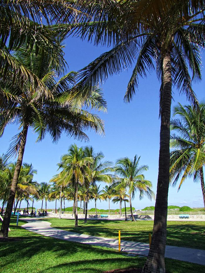 Miami Beach