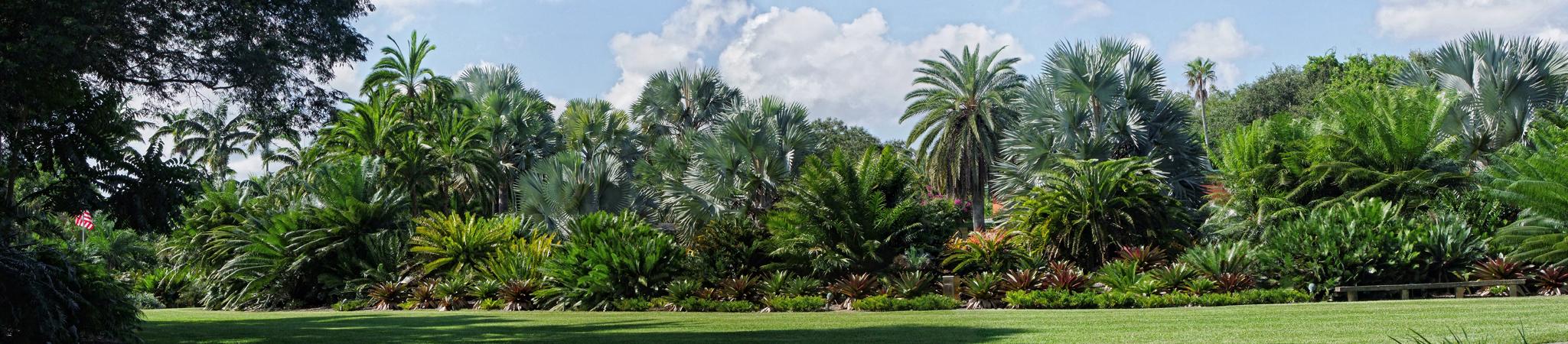 Fairchild Tropical Gardens