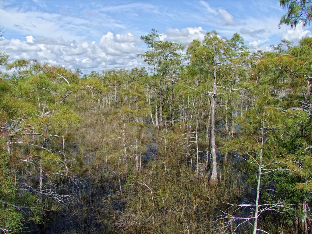 Everglades NP