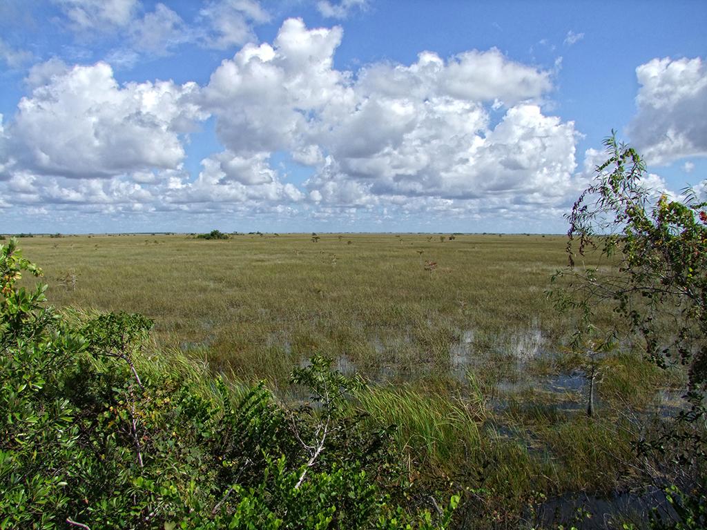 Everglades NP