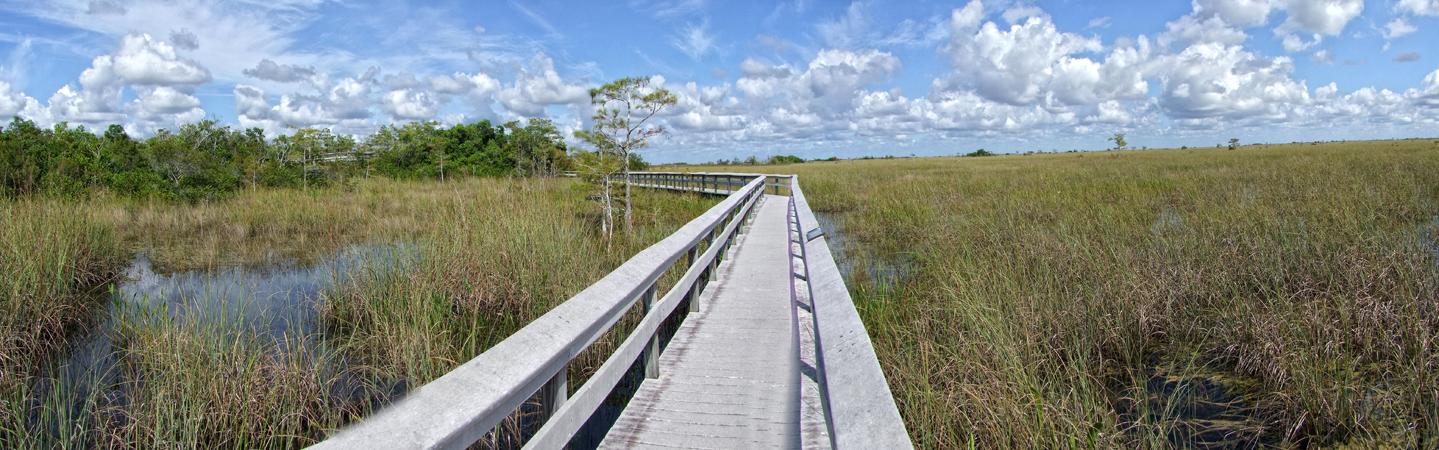 Everglades NP