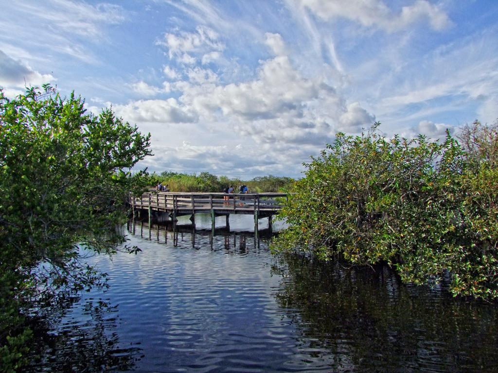 Everglades NP