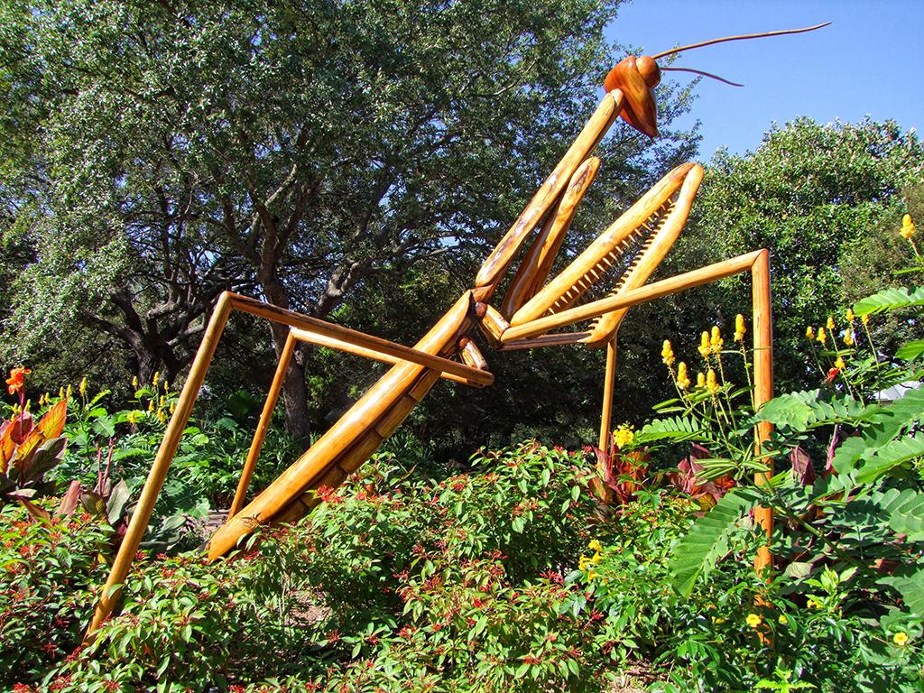 San Antonio Botanical Garden, San Antonio, TX