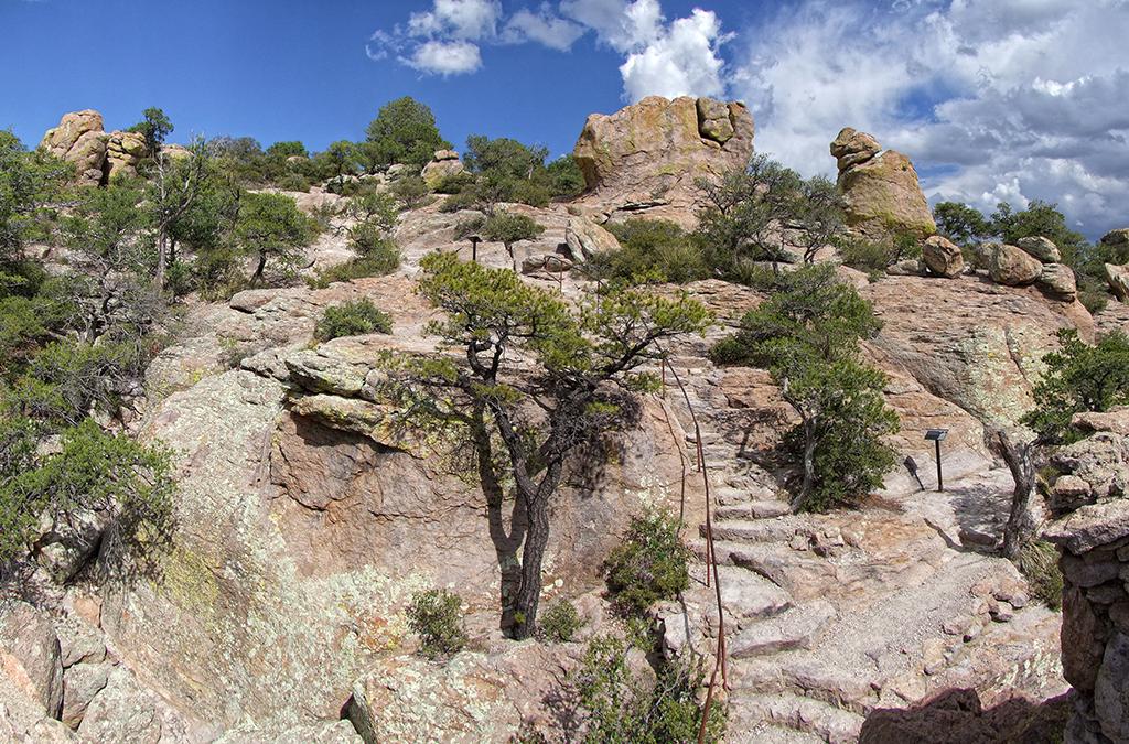 Chiricahua NM, AZ