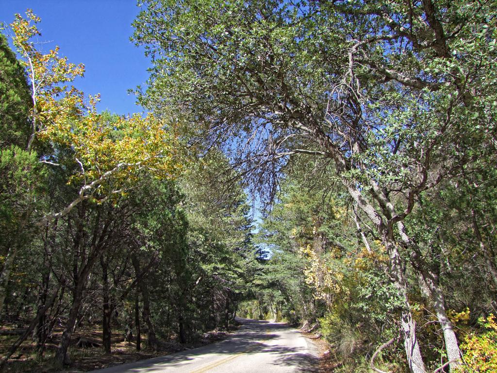 Chiricahua NM, AZ