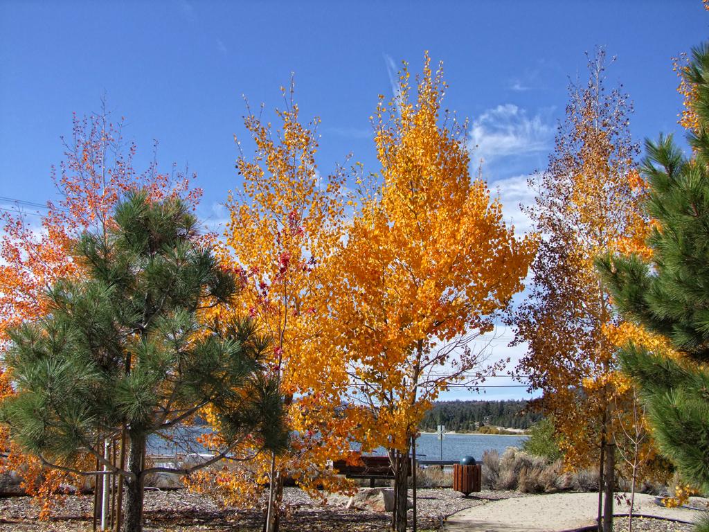 Big Bear Lake, CA