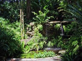 Fairchild Tropical Gardens