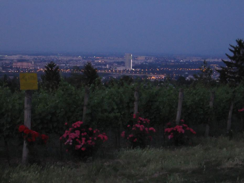 Blick auf die Stadt auf dem Weg nach Grinzing
