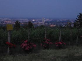 Blick auf die Stadt auf dem Weg nach Grinzing